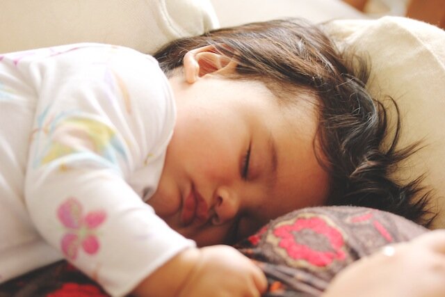 Tala napping